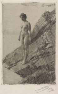 Tämä se on tekijältä Anders Zorn