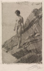 Tämä se on tekijältä Anders Leonard Zorn