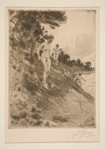 peloissaan tekijältä Anders Leonard Zorn