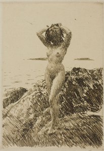 Hårtång (merileväseppele) tekijältä Anders Zorn
