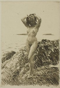 Hårtång (merileväseppele) tekijältä Anders Leonard Zorn