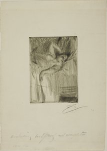 Hälytys tekijältä Anders Leonard Zorn