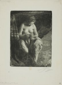 Korjaus tekijältä Anders Leonard Zorn