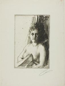 Alastontutkimus III tekijältä Anders Leonard Zorn