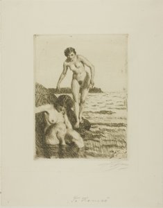 Hemsön saarella tekijältä Anders Leonard Zorn