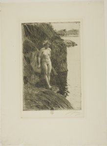Sakka tekijältä Anders Leonard Zorn
