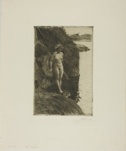 Sakka tekijältä Anders Leonard Zorn