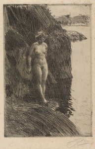 Sakka tekijältä Anders Zorn