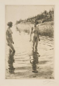  tekijältä Anders Zorn