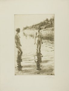 Matala tekijältä Anders Leonard Zorn