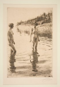 Matala tekijältä Anders Leonard Zorn