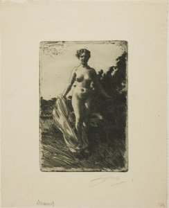 Kesä tekijältä Anders Leonard Zorn