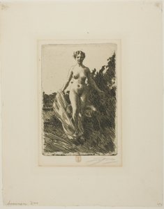 Kesä tekijältä Anders Leonard Zorn