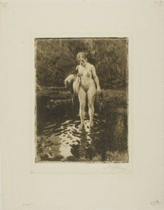 Ford tekijältä Anders Leonard Zorn
