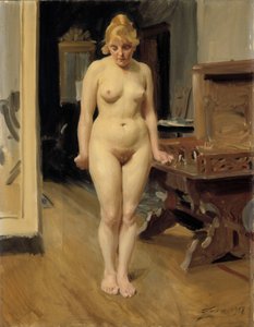  tekijältä Anders Zorn