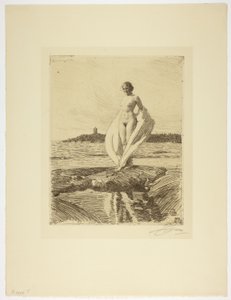 Joutsen tekijältä Anders Leonard Zorn