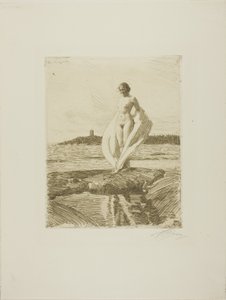 Joutsen tekijältä Anders Leonard Zorn