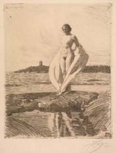 Joutsen tekijältä Anders Leonard Zorn