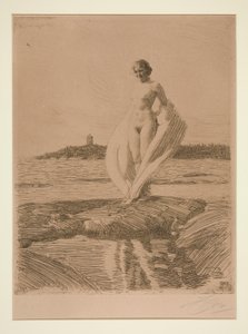 Joutsen tekijältä Anders Leonard Zorn