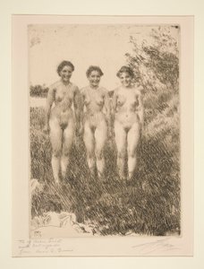 Kolme siskoa tekijältä Anders Leonard Zorn