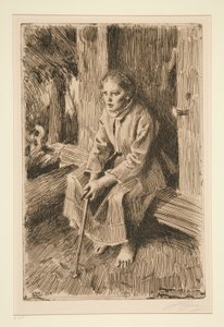 Valkulla tekijältä Anders Leonard Zorn