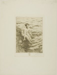 Märkä tekijältä Anders Leonard Zorn