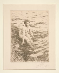Märkä tekijältä Anders Leonard Zorn