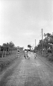 KATKERAT VIINIRYPÄLEET - KOHTI OSOITETTUA VIRKAA tekijältä Ando Gilardi