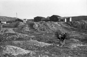 CROTONE - POLTTOAINEEN KULJETUS SHANGHAIN ALUEELLA tekijältä Ando Gilardi