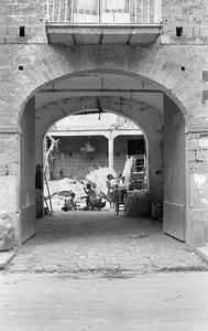 HAMPUN JALOSTUS, AAMIAINEN TÖISSÄ tekijältä Ando Gilardi