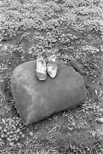 KENGÄT RACCOGLITRICE OLIIVEJA tekijältä Ando Gilardi