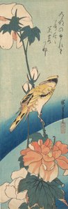 Mustanappainen oriole ruusumaljan varressa, n. 1834, n. 1834. tekijältä Ando Hiroshige