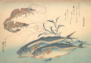 Aji Fish ja Kuruma-ebi, sarjasta Uozukushi Every Variety of Fish, 1830s., 1830s.