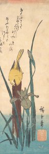 Lintu ja Iris. tekijältä Ando Hiroshige