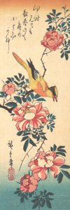 Itäinen harmaakärki ja ruusu, 1830-luvun alku, 1830-luvun alku. tekijältä Ando Hiroshige