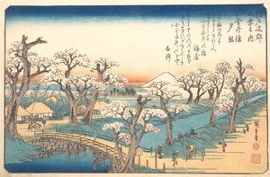 Iltavalo Koganein rajalla, 1800-luku. tekijältä Ando Hiroshige