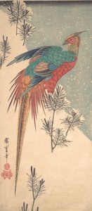 Kultainen fasaani ja männyn versot lumessa, n. 1835, n. 1835. tekijältä Ando Hiroshige