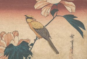 Hibiscus Mutabilis ja Jay, n. 1840, n. 1840 tekijältä Ando Hiroshige