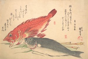 Isaki ja Kasago Fish, sarjasta Uozukushi Every Variety of Fish, 1830s., 1830s. tekijältä Ando Hiroshige