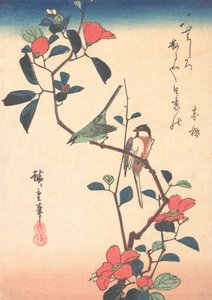 Japanilainen valkosilmä ja tiainen kamelian oksalla, n. 1840, n. 1840. tekijältä Ando Hiroshige