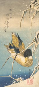 Ànec collverd i canyes cobertes de neu, ca. 1832., ca. 1832. finlandès tekijältä Ando Hiroshige