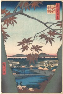 Maples at Mama, de la sèrie Cent vistes famoses d