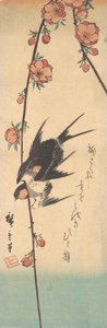 Päärynäkukat ja pääskyset, n. 1840, n. 1840. tekijältä Ando Hiroshige