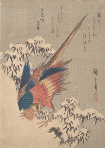 Fasaani lumen kuormitetun bambun joukossa rinteessä, n. 1840, n. 1840. tekijältä Ando Hiroshige