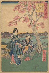 Visualització de flors de pruner al tercer mes al riu Sumida de la sèrie Annual Events at F..., 1854. finlandès tekijältä Ando Hiroshige