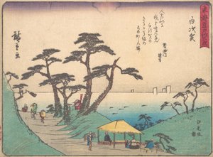 Shirasuka, vai mitä? 1838. , hyttynen. 1838. tekijältä Ando Hiroshige