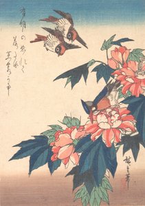 Pääskyset ja Kingfisher Rose Mallowsin kanssa, n. 1838, n. 1838. tekijältä Ando Hiroshige