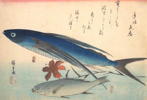Tobiuo ja Ishimochi Fish, sarjasta Uozukushi Every Variety of Fish, 1840s., 1840s. tekijältä Ando Hiroshige
