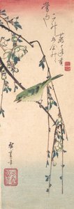 Loukku luumun oksalla, n. 1835, n. 1835. tekijältä Ando Hiroshige
