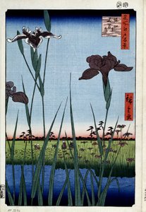 a""Edon satoja kuuluisia näkymiä"" : ""Iris Horikirille" (Irises at Horikiri (Sata kuuluisaa näkymää Edoon) Utagawa Hiroshigen (1797-1858) japanilainen vedos 1856-1858 Pietarin Eremitaaši tekijältä Ando or Utagawa Hiroshige
